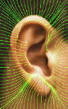 Featured image for “The Ear Scanning Story: Lantos Revisited and Updated”
