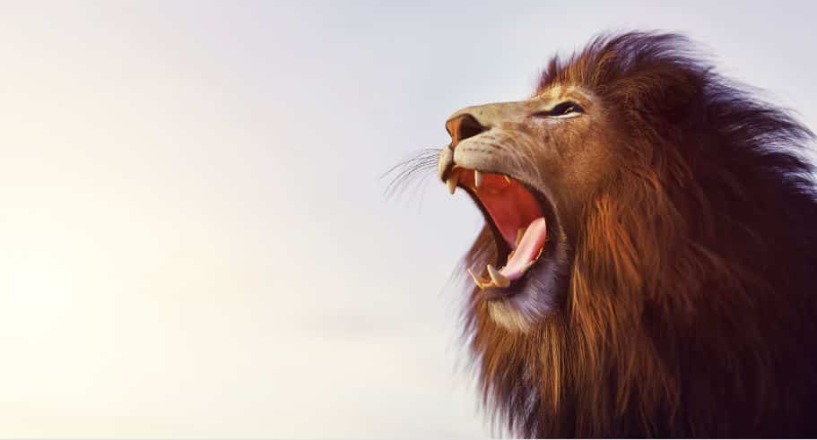 The Lion Roars