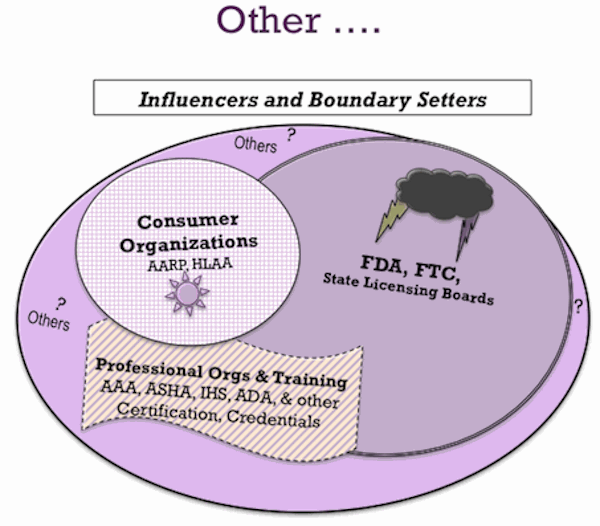 Figure 5. Factors that Influence and Define Boundaries of Product description and usage.