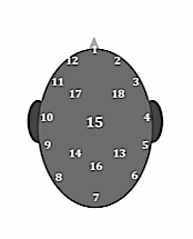 Figure 2.  Illustration of the numbering chart used to locate the perceptual experience for the various signals.  Listeners directed the investigator to adjust the relative Left-Right levels until the stimulus was perceived in a position as near as possible to number 15.