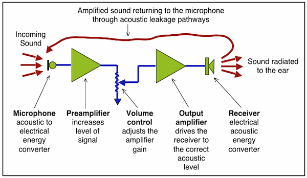 Figure 2.  Acoustic feedback pathway resulting from the output signal at the receiver returning to the microphone and being reamplified.