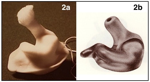 Figure 2. Ear impression (2a) and finished product produced from and investment of the ear impression (2b). The finished product could have the electronics imbedded into the earmold, as in a custom-molded hearing aid (ITE, ITC, CIC).