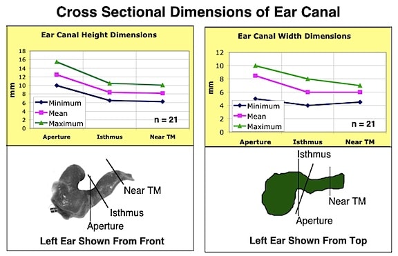 Figure 12. Cross section measurements of the ear canal in three important locations. The aperture is the opening of the ear canal at the concha of the ear, the isthmus is the narrow part between the first and second bends of the ear canal, and the last measurement is immediately before the tympanic membrane. (Staab, 2002). 