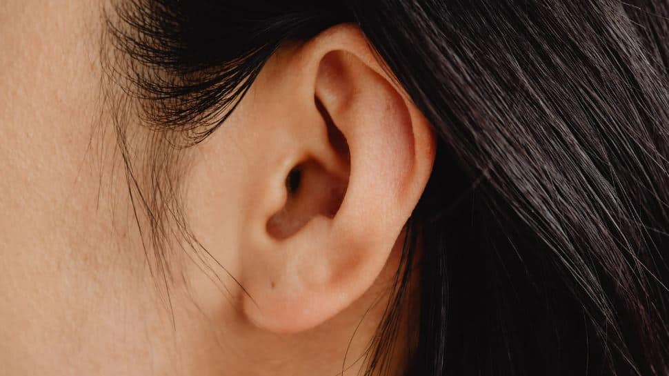 human ear canal