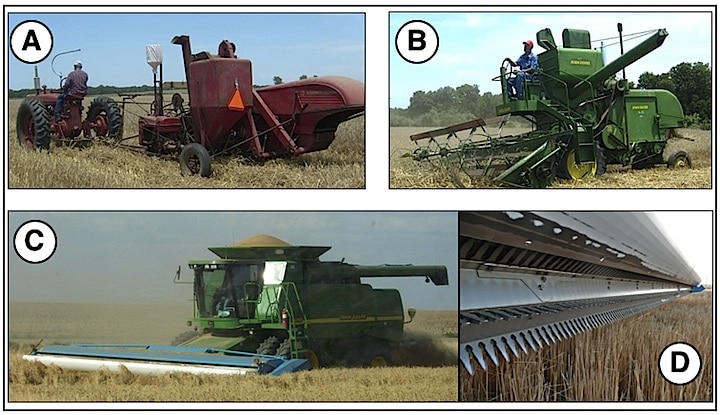 Figure 2.  A pull combine is shown in A.  The tractor exhaust is in front of, and at ear level, with the operator.  B shows a self-propelled combine with no enclosed cab.  C shows s self-propelled combine with an extensive cab designed for comfort and noise reduction.  Two different types of headers are used: the reel-type shown in B (granted, a very old and short header as compared to the wide ones used today, but used to show the reel arrangement, where the wheat stalk is cut low), and D, a stripper header that takes only the grain heads, leaving the straw uncut.  Headers today run up to 45 feet in width.