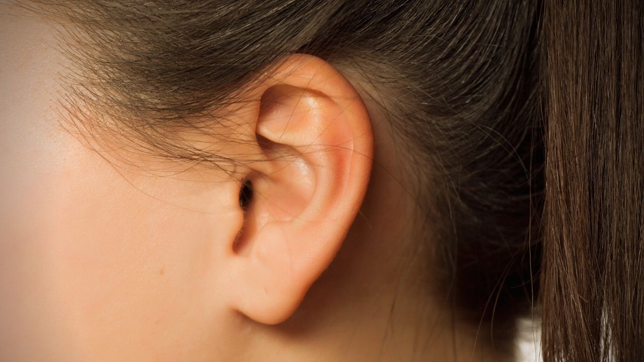 outer ear pinna