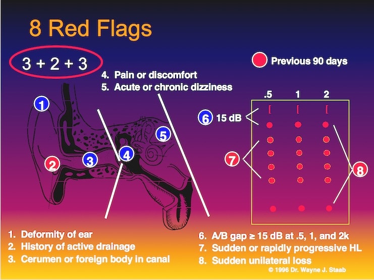 Figure 1. 2+3+2 Systematic Approach to navigate the 8 red flag medical contraindications mandated currently by the FDA.