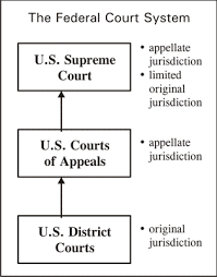 US Federal Court System