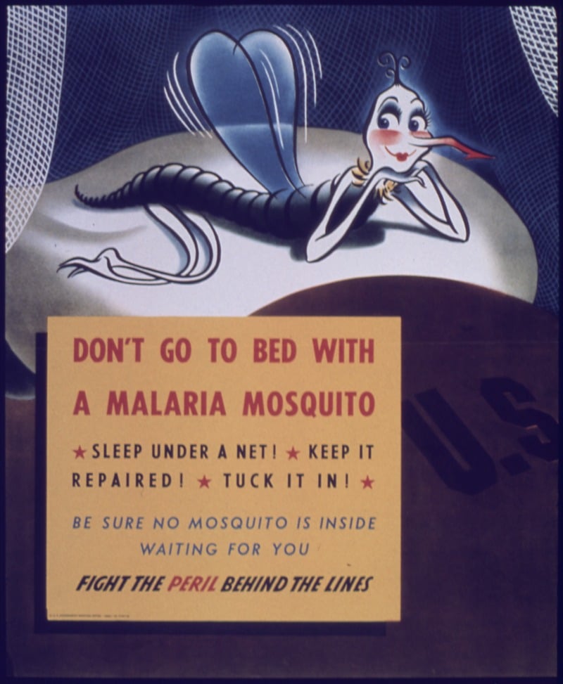 Featured image for “Audiology and Malaria: a Proposed Protocol  (Malaria Part 5)”