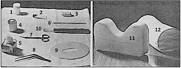Figure 1. Materials and tools for making the first poured ear impressions.