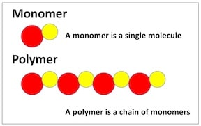Figure 1. Diagram showing how a string of monomers forms a polymer. A polymer is a large and complex arrangement of monomers1.
