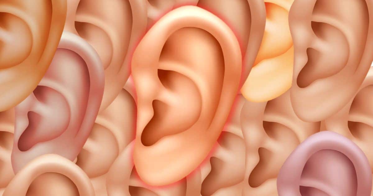 Featured image for “The Human Ear – Anatomy of the Outer Ear (Pinna)”