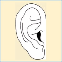 Featured image for “The Human Ear – Part 3”