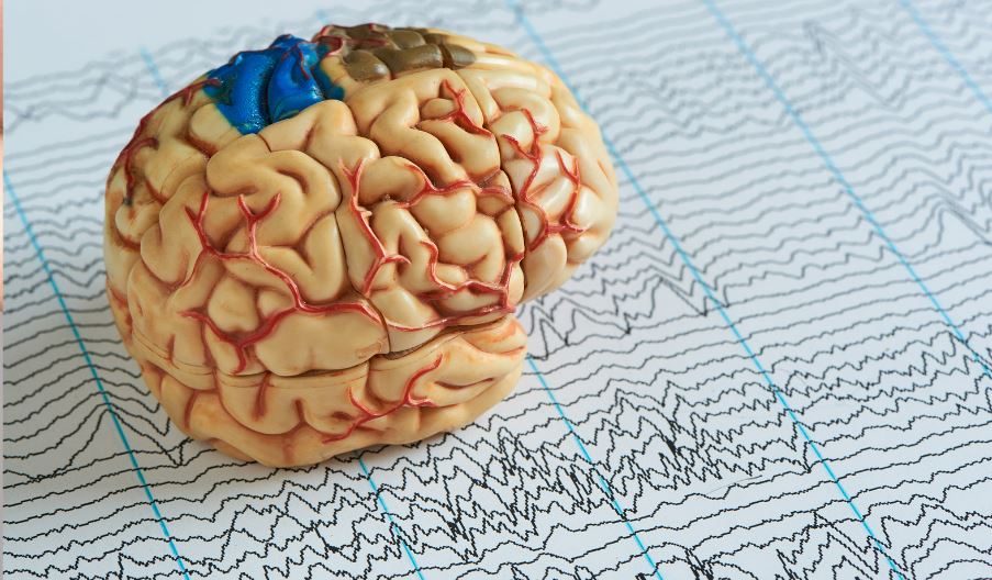 temporal lobe epilepsy