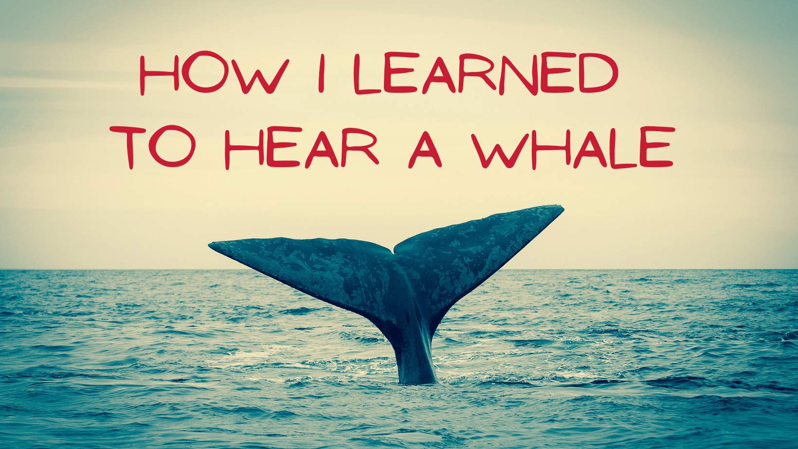 Featured image for “How I Learned to Hear a Whale”