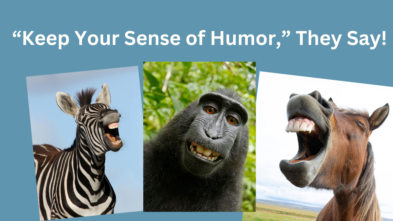 Featured image for ““Have a Sense of Humor!”, They Say!”