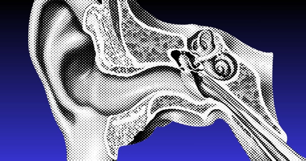 Featured image for “New Computer Model Maps Intricate Mechanics of Hearing”
