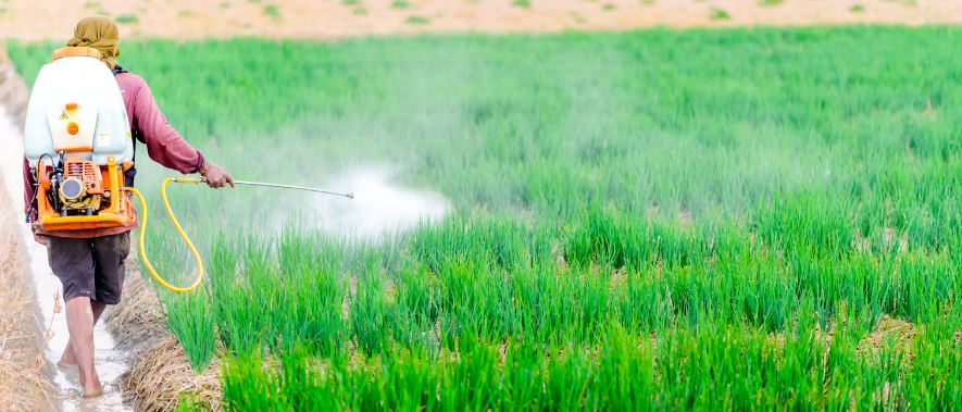 pesticides toxic exposure