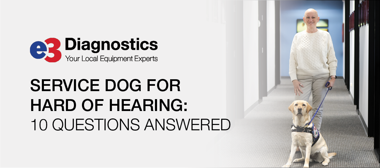 Featured image for “Service Dog for the Hard of Hearing: 10 Questions Answered”