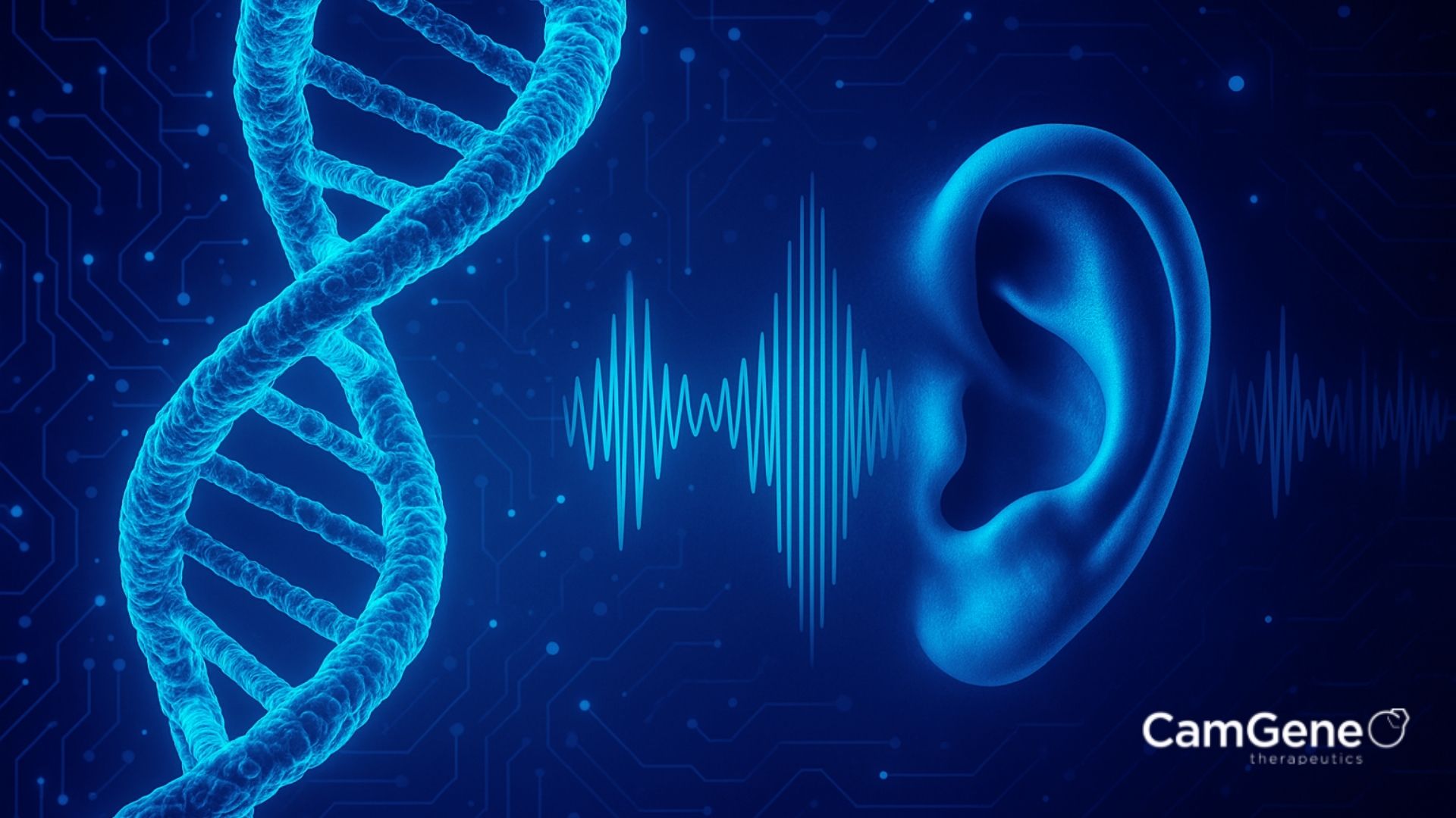 Featured image for “CamGene Therapeutics Secures Oversubscribed Seed Round to Advance RNA-Based Hearing Loss Therapies”