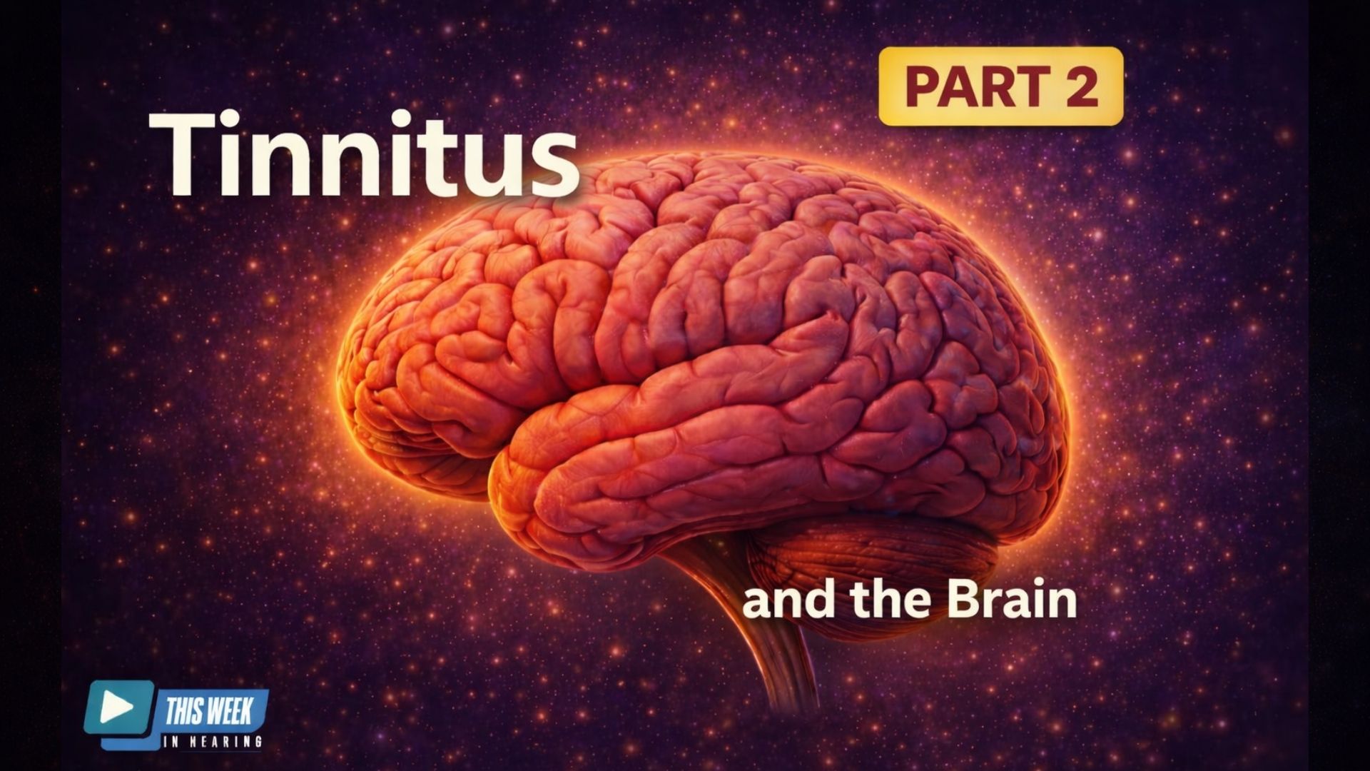 Featured image for “A Brain-Based Approach to Tinnitus (Part 2): Making Sense of Treatment Options”